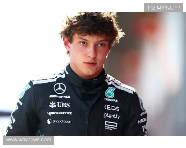 梅奔F1日本站前翼显野兽